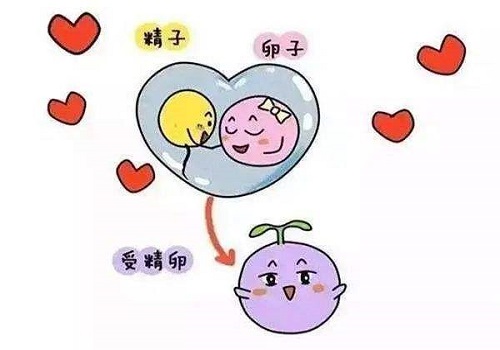 試管嬰兒生多少錢